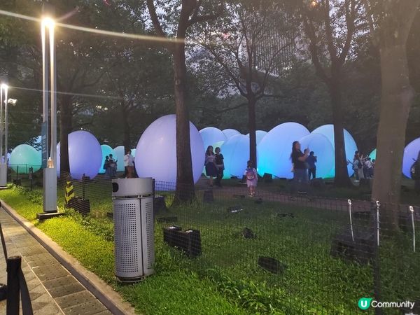 《最後今晚 ~ teamLab : 光漣》