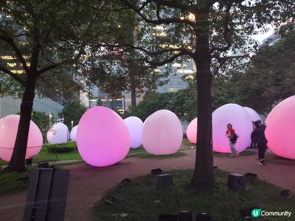 《最後今晚 ~ teamLab : 光漣》