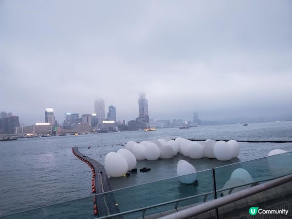 《最後今晚 ~ teamLab : 光漣》