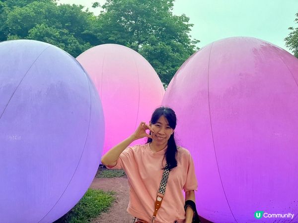 《最後今晚 ~ teamLab : 光漣》