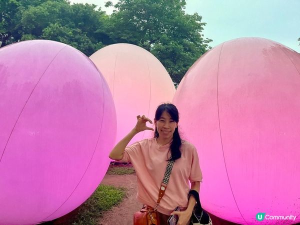 《最後今晚 ~ teamLab : 光漣》