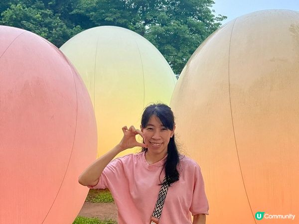 《最後今晚 ~ teamLab : 光漣》