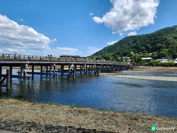 夏日嵐山渡月橋，美景依然醉人！🏞️