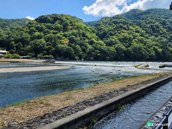 夏日嵐山渡月橋，美景依然醉人！🏞️