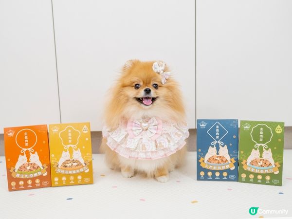 米蘇蘇活力滿滿💪🏻  每日放電唔停！