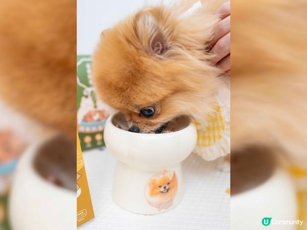 米蘇蘇活力滿滿💪🏻  每日放電唔停！