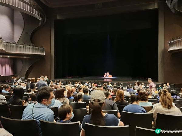 適合一家大細睇嘅雜技表演