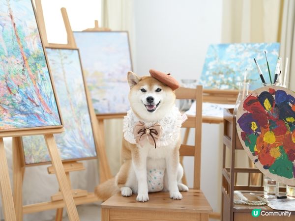 / 帶毛孩去Re:Place Studio影靚相 \