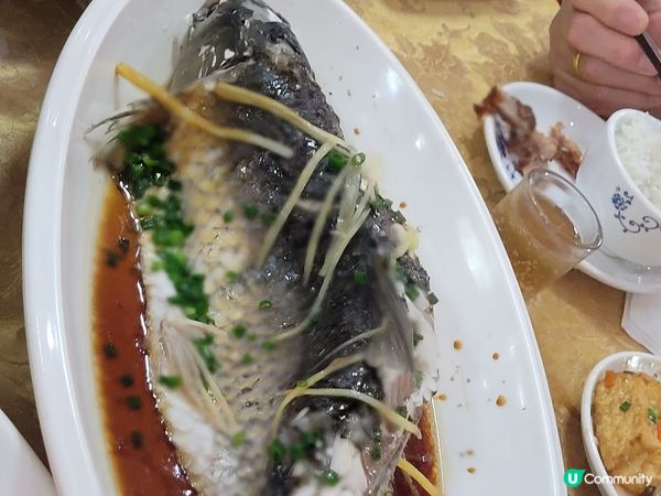 棟企鵝+燒鵝！台山美食🤤 脆皮到爆！