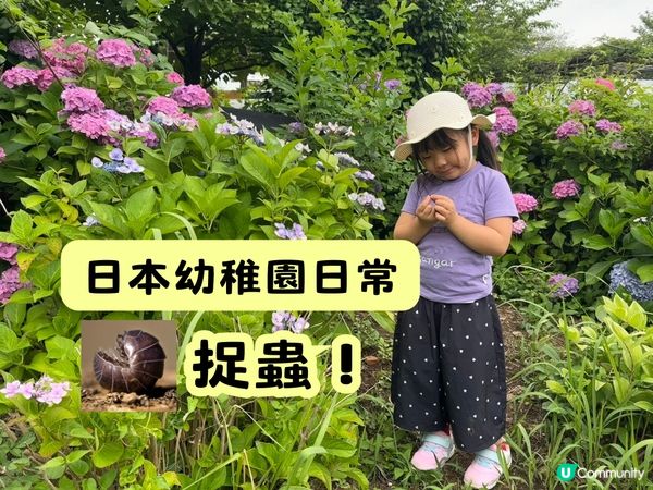 🇯🇵🐛 日本幼稚園日常|今期學習重點:捉蟲!
