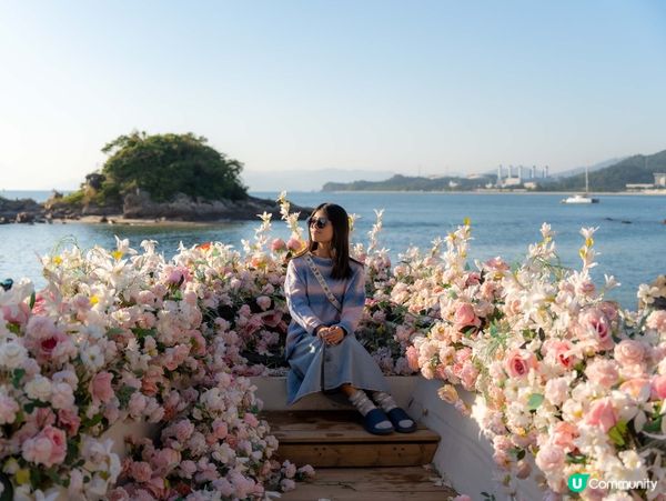 南澳膠囊列車之旅！🌅 深圳玩樂攻略！😎 