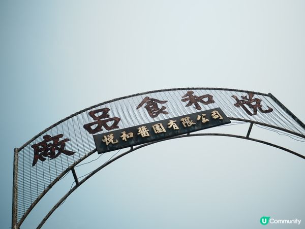 【古洞收地發展|時間表+最新進度一覽🏗️】