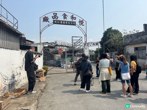 【古洞收地發展|時間表+最新進度一覽🏗️】