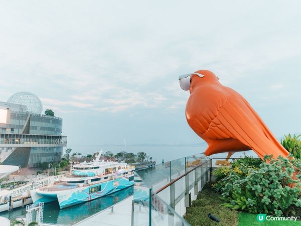 【深圳蛇口登喜路酒店(海上世界店)|老牌酒店的隱藏版享受,住...