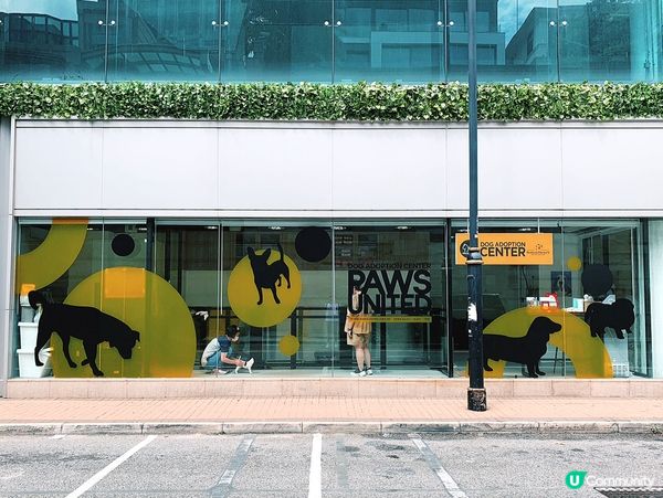 【寵物市集】毛爸媽助養計劃發佈派對🎪   