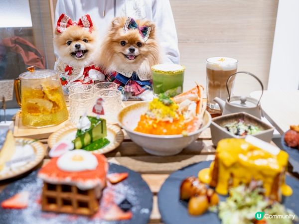 大圍E for egg食聖誕大餐🥳