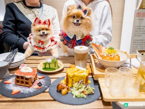 大圍E for egg食聖誕大餐🥳