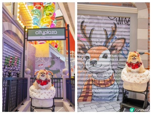 太古城「Streets of Christmas Joy」