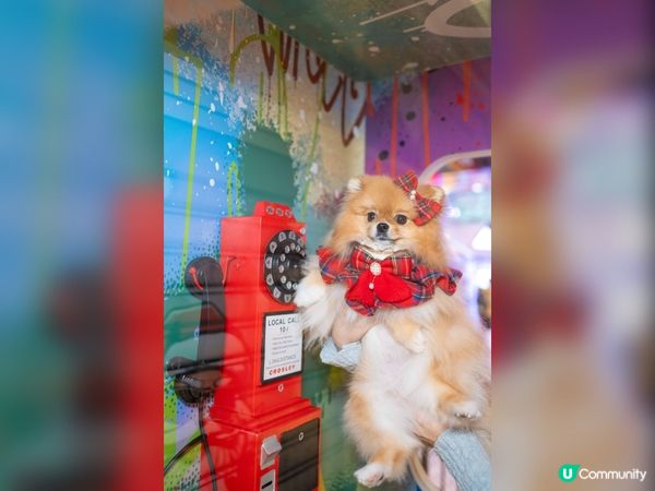 太古城「Streets of Christmas Joy」