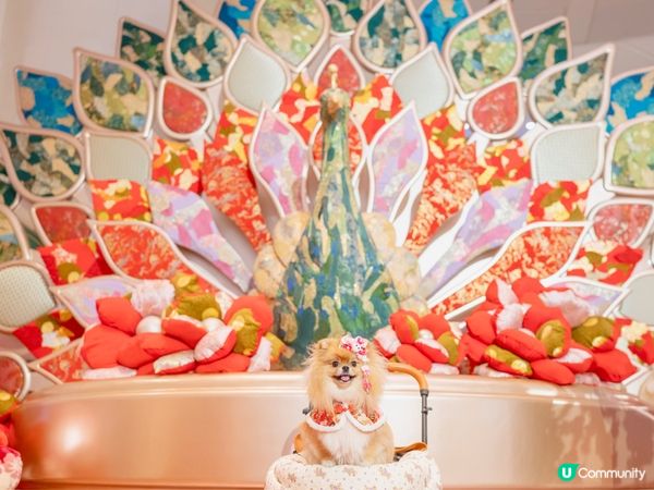 🎉大年初一 米蘇蘇祝大家蛇年行大運🐍🧧