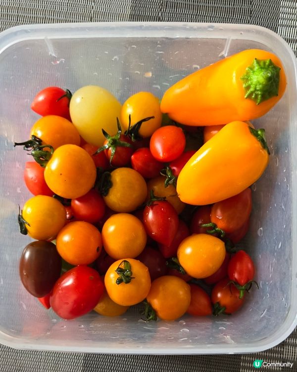 ♥️健康，美味，繽紛生果