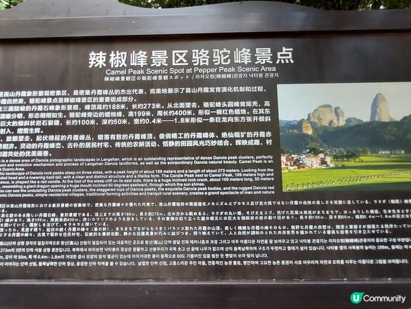 #chill賞清爽無蚊  蚊怕水出動！江西遊攻略🏞️ 