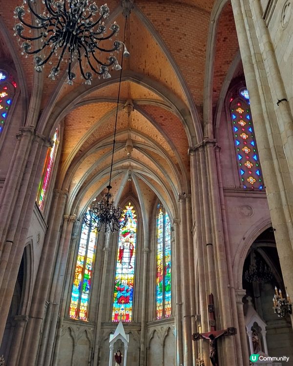 聖誕去石室聖心大教堂打卡靚靚