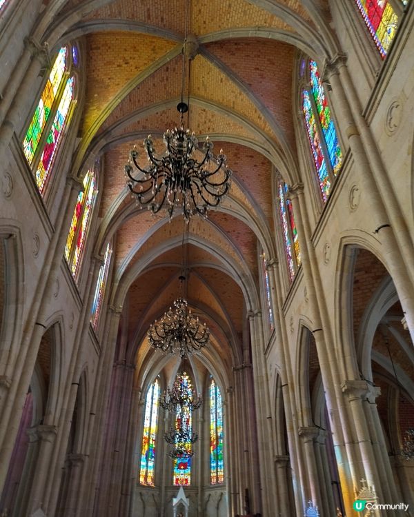 聖誕去石室聖心大教堂打卡靚靚