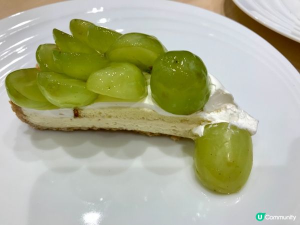 灣仔美味果撻😋