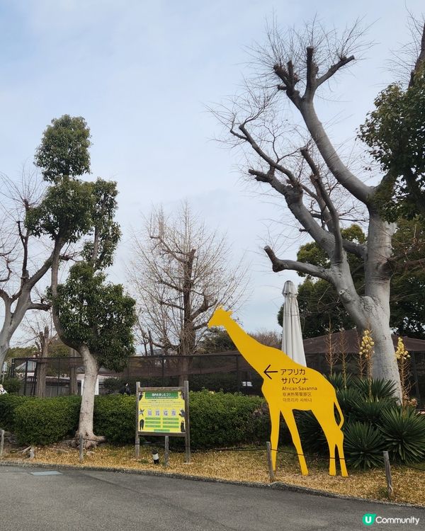 大阪親子遊！天王寺Zoo筍位！🦁🐧 | U Community 社群平台