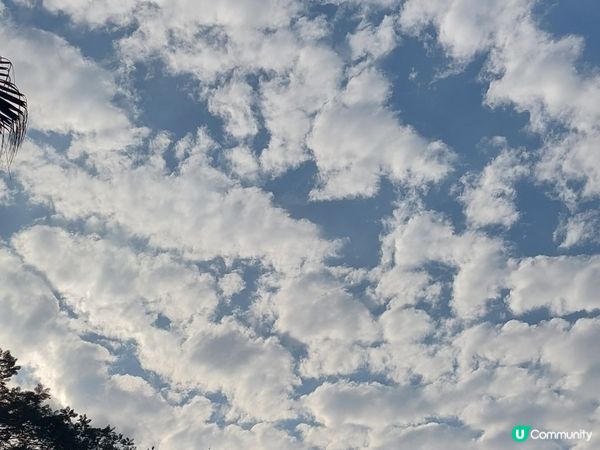 天空好靚，唔好淨係低頭望啦~