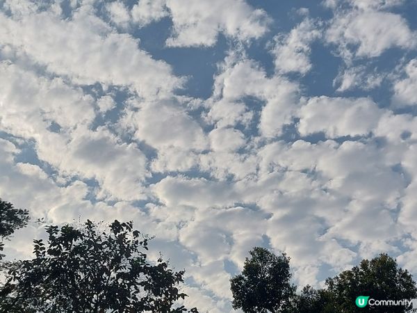 天空好靚，唔好淨係低頭望啦~