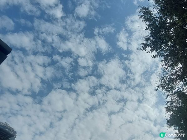 天空好靚，唔好淨係低頭望啦~