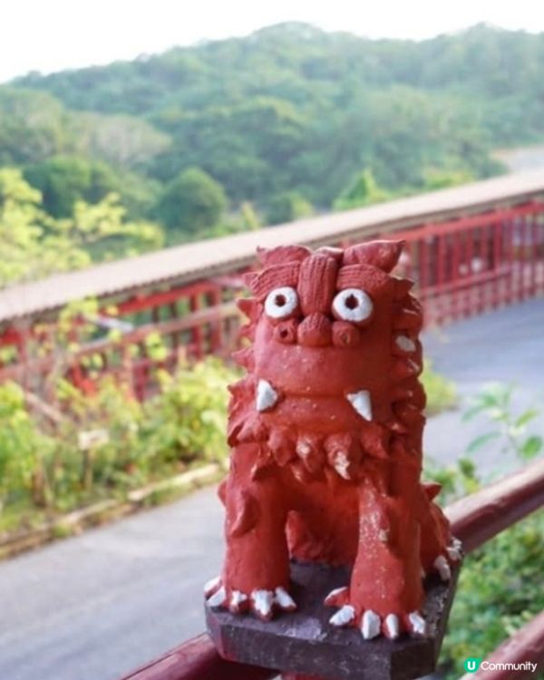 好味道😋阿古豬涮涮鍋