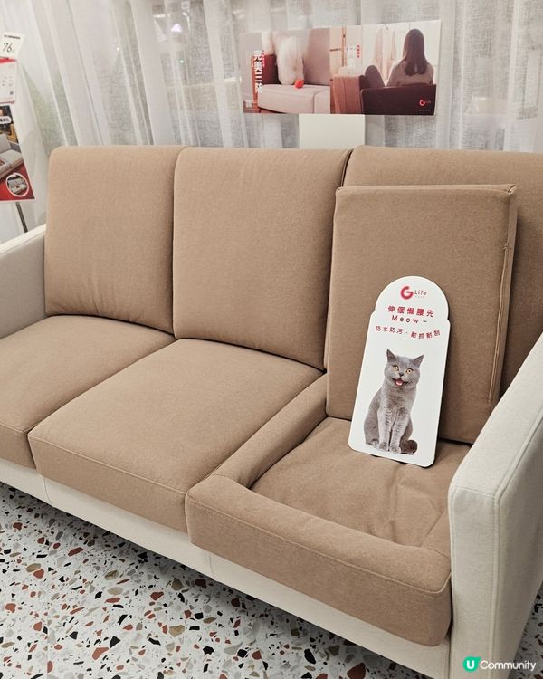 GIORMANI X CHARLOTTE 