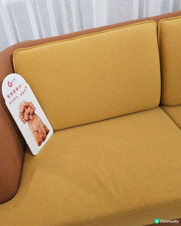 GIORMANI X CHARLOTTE 