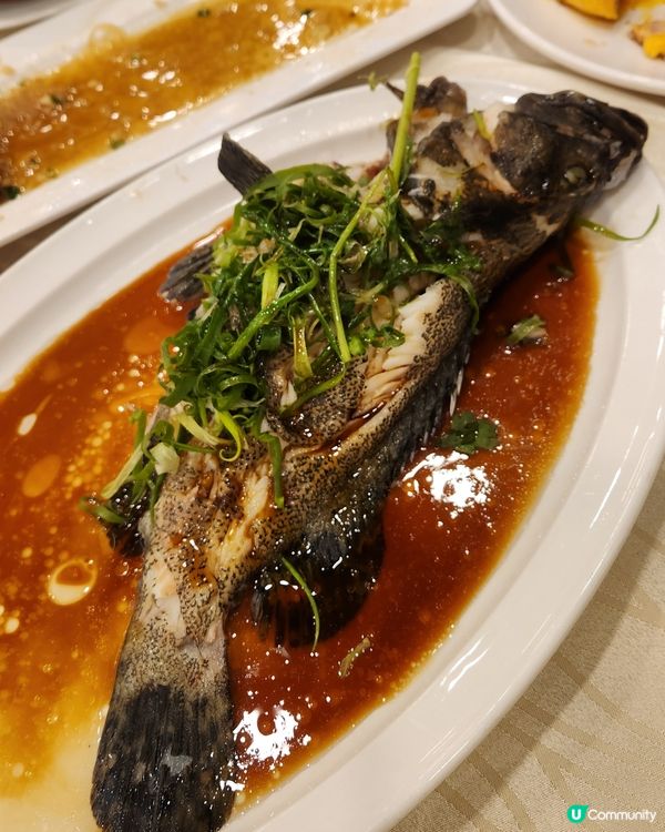 ✨️青衣新酒樓好日子✨️