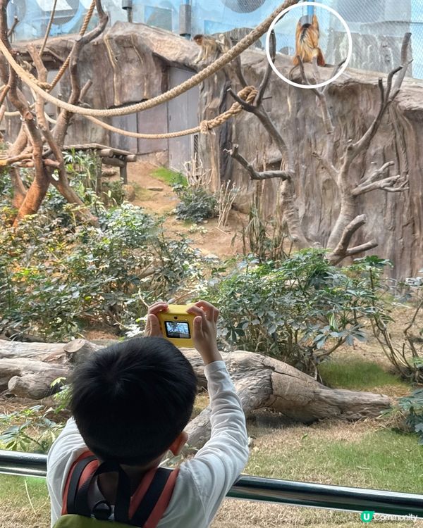 上次返香港已經好想去 @hkoceanpark 🐼 可惜時間...