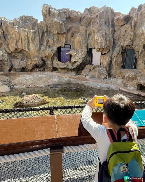 上次返香港已經好想去 @hkoceanpark 🐼 可惜時間...