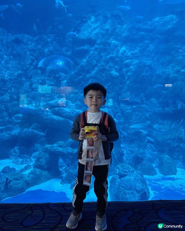 上次返香港已經好想去 @hkoceanpark 🐼 可惜時間...