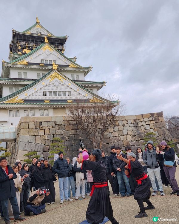 大阪城🏯親子輕鬆遊！🚶‍♀️🌳