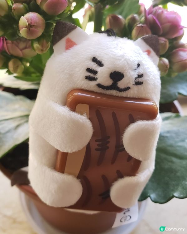  🍣🤩🎁開箱壽司郎萌抱壽司禮品！