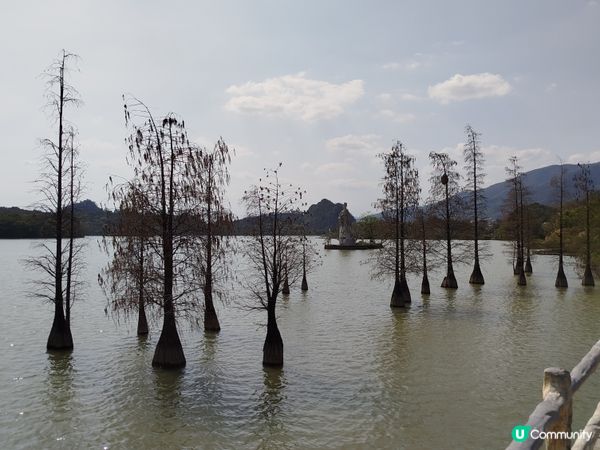 肇慶星湖國家濕地公園