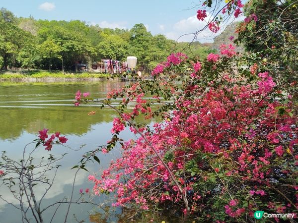 肇慶星湖國家濕地公園