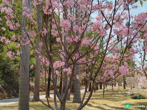 肇慶星湖國家濕地公園