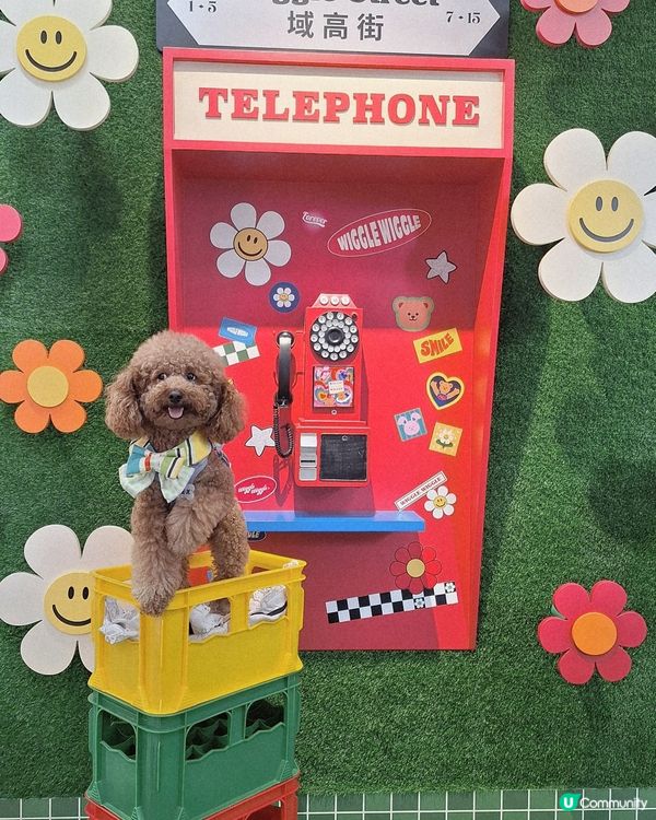 韓國人氣潮牌 Wiggle Wiggle 