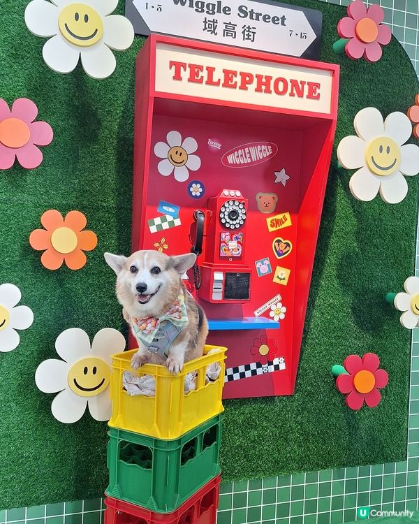 韓國人氣潮牌 Wiggle Wiggle 