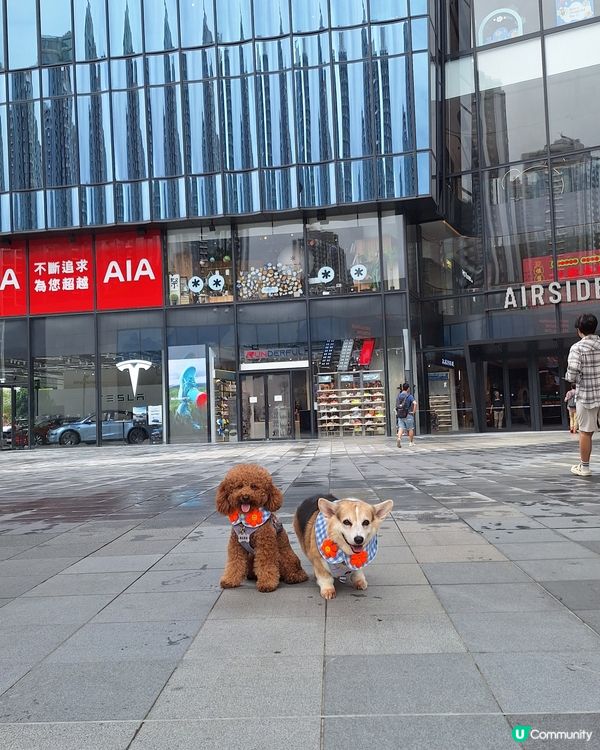 韓國人氣潮牌 Wiggle Wiggle 