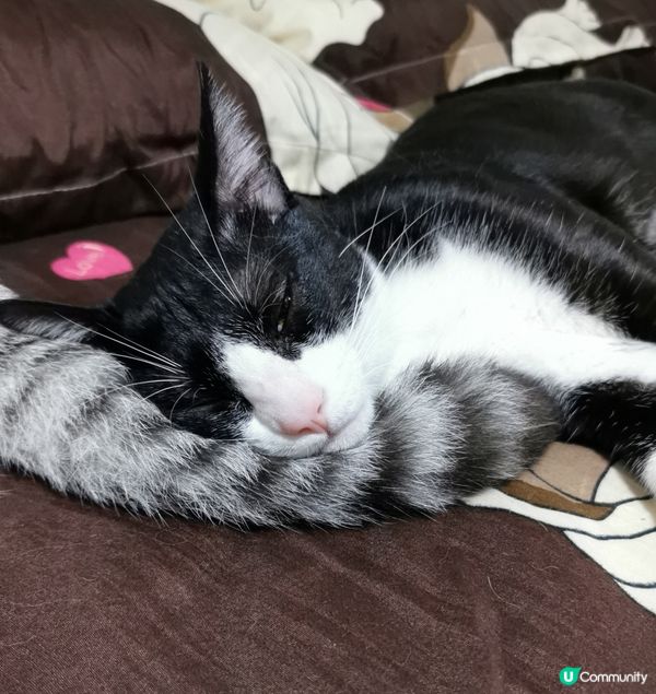 識💤一定糸甘💤