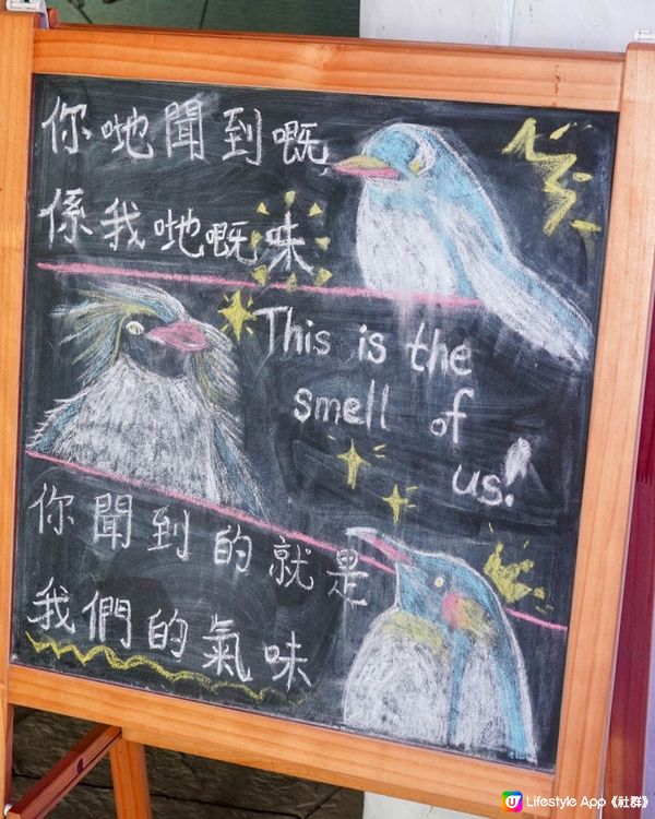 【香港海洋公園｜現在都有什麼小動物？】